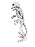 Premium DNA Battletoads Rat Bones Action Figure